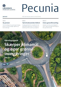 Stemningsbillede